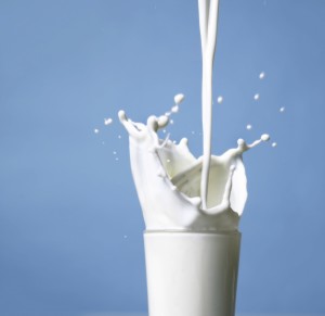 istock_000003050763medium