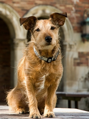 copy-of-110329_monty_2