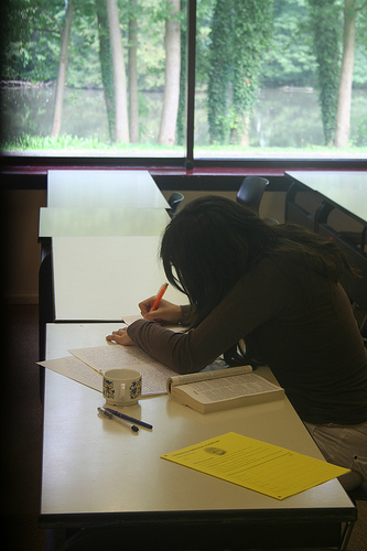essay-exam-alex-friesen