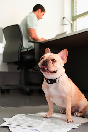 How To Stay Productive After Work How To Stay Productive After Work